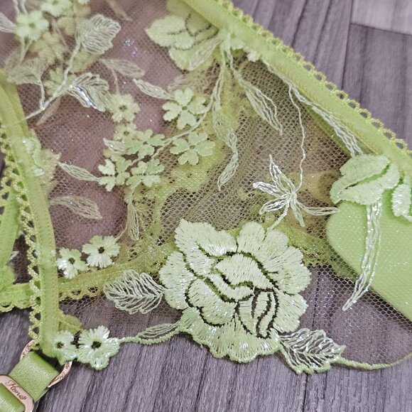 NWT Honey Birdette Whitney Apple Light Green Garter Belt Suspender Size M - Picture 5 of 7
